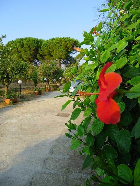 "Green" B&B Il Bracco Партинико Екстериор снимка